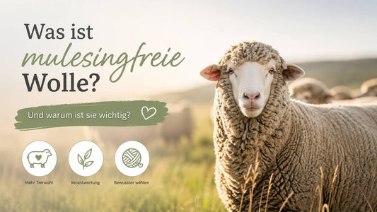 Was ist mulesingfreie Wolle und warum ist sie wichtig?