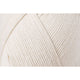 Seashell [437]