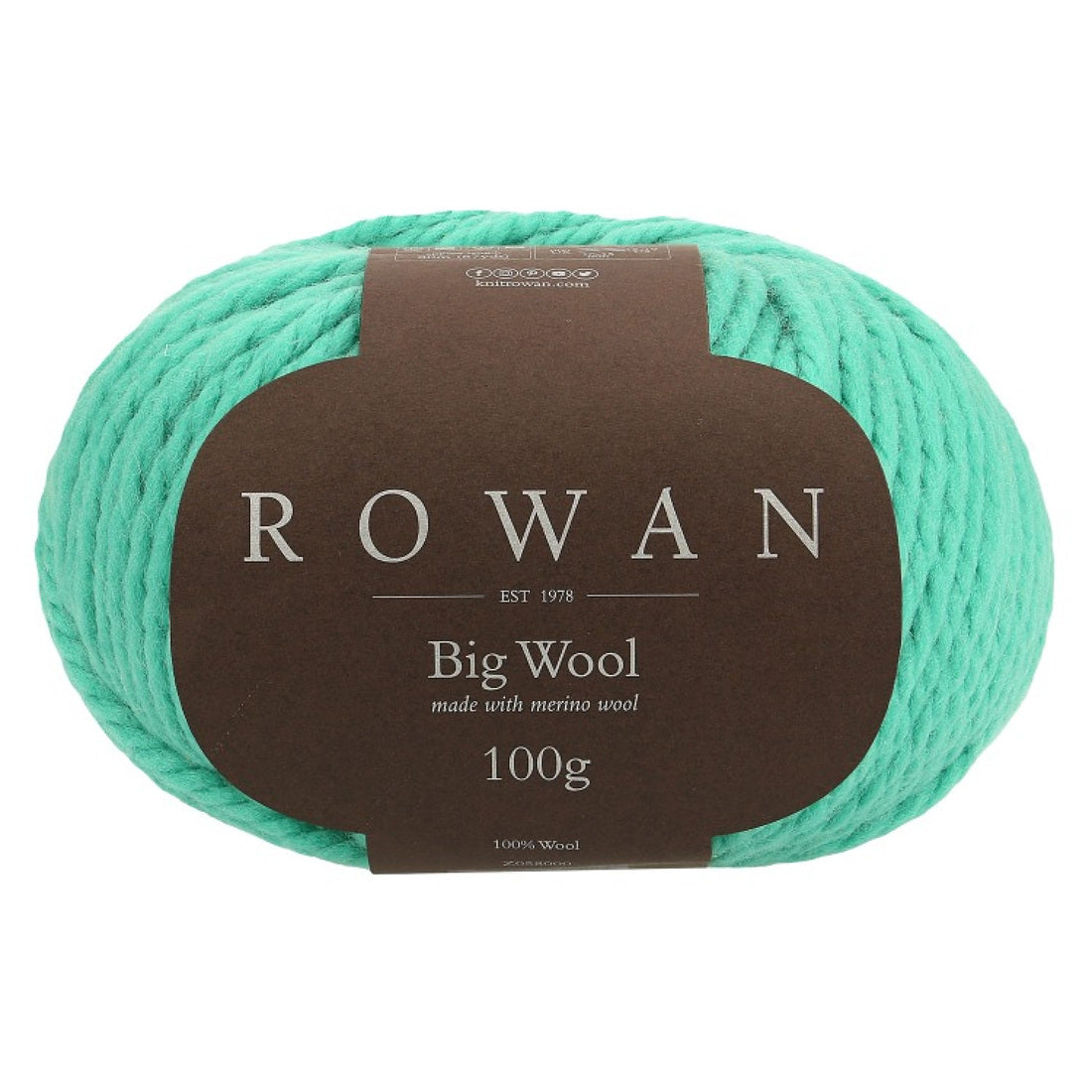 Big Wool von Rowan | 100g – midori [93]