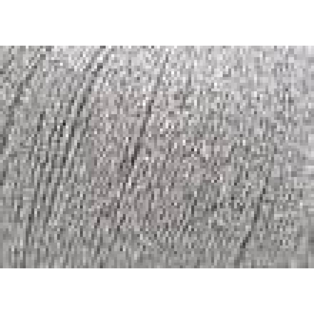Anchor Metallic Fine | 25g – 00301 Silver – 25 g
