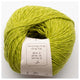 20 Limette