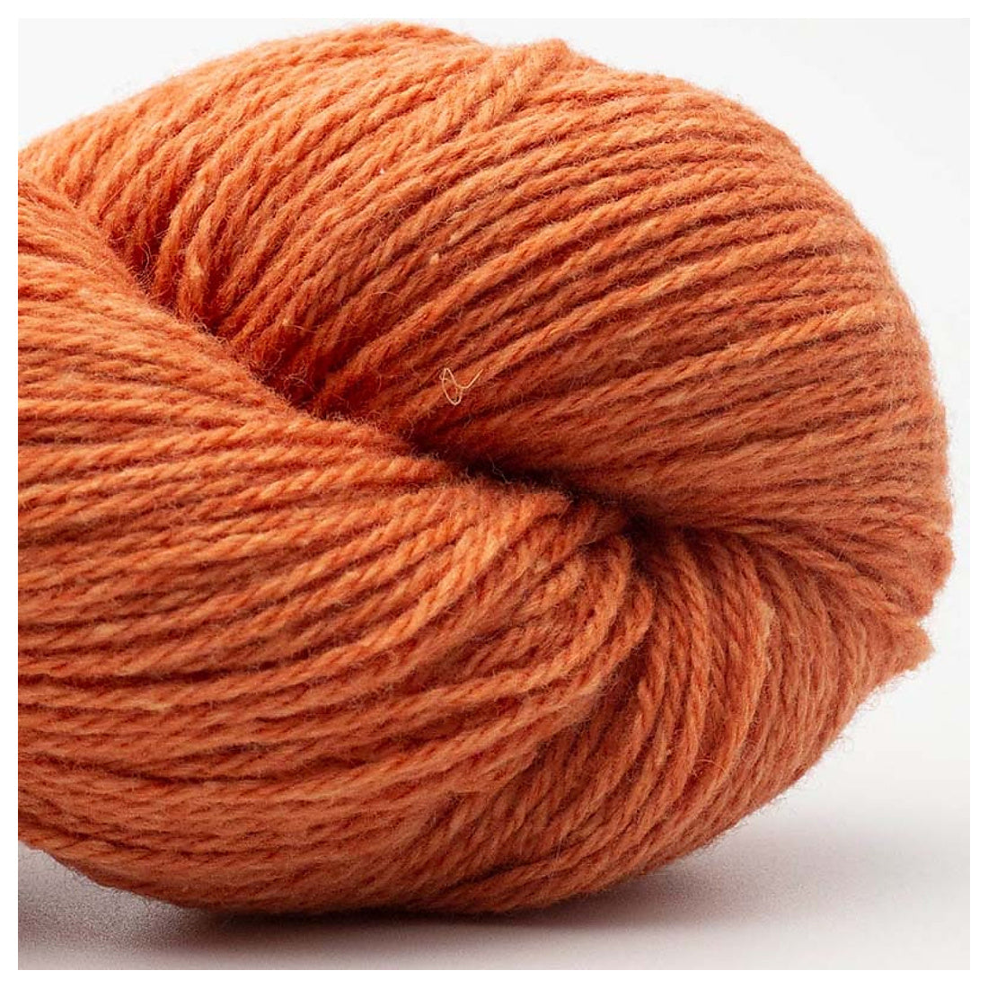 Bio Balance GOTS von BC Garn | 50g – 17 Orange