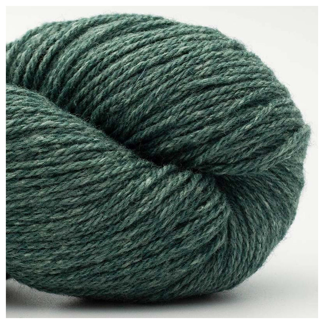 Bio Balance GOTS von BC Garn | 50g – 05 Blautanne