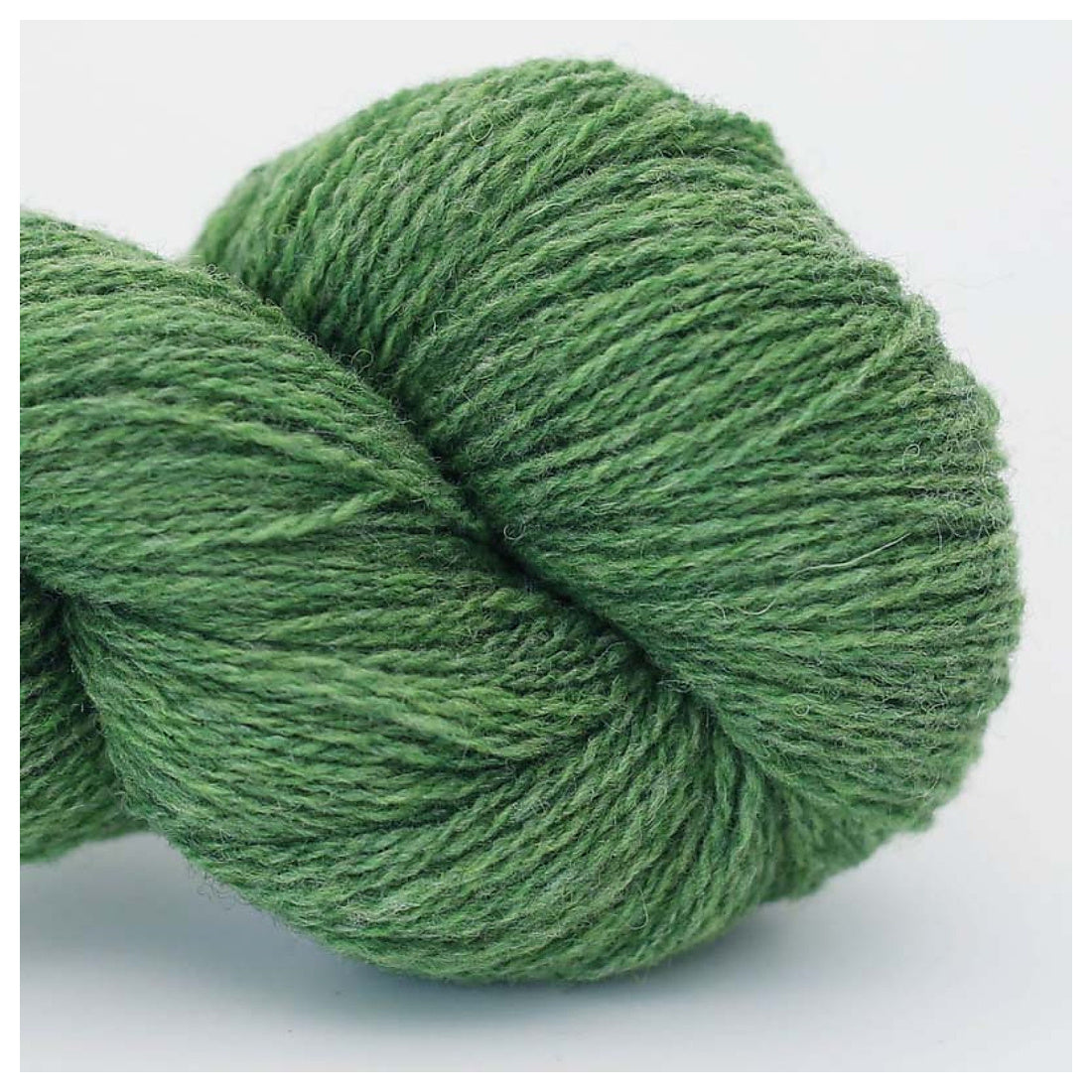 Bio Shetland GOTS von BC Garn | 50g – 57 Sommerwiese