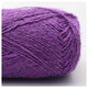 71 Orchideen Violett