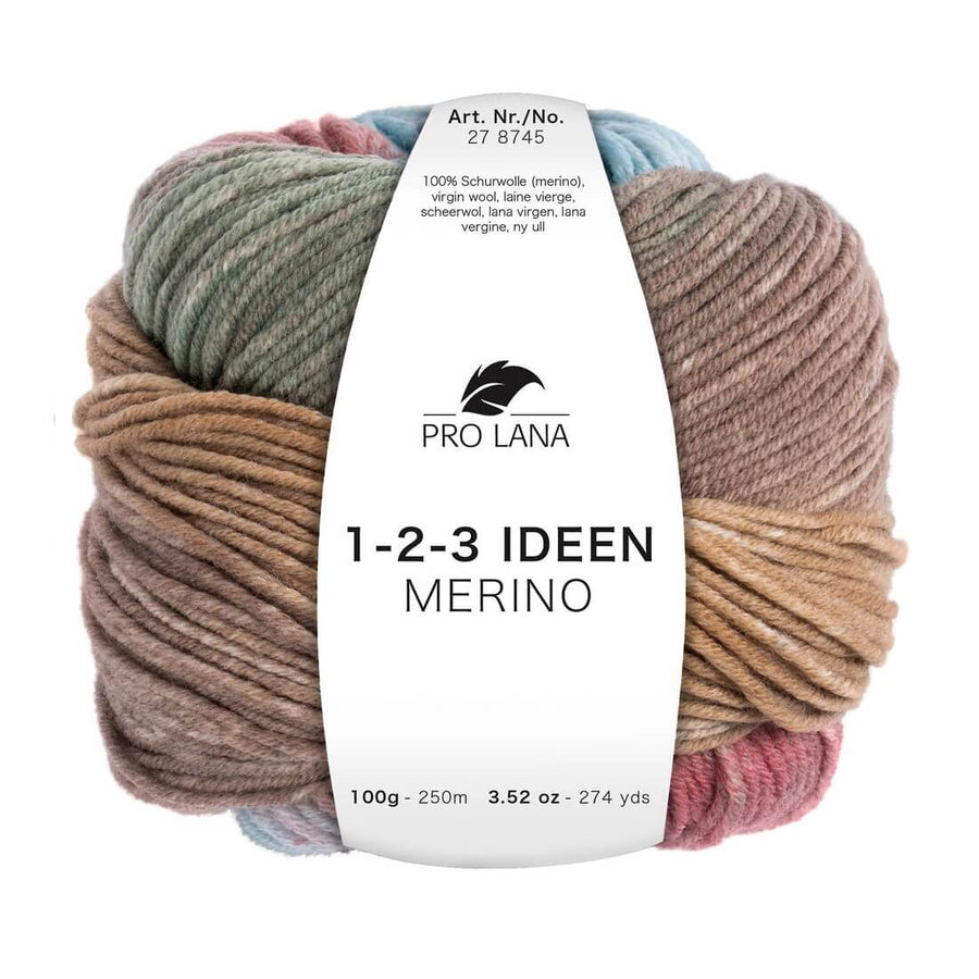 Pro Lana 1-2-3 Ideen Merino | 100g