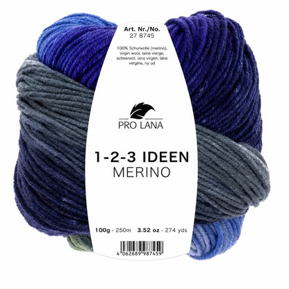 Pro Lana 1-2-3 Ideen Merino | 100g