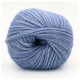 22 Pigeon Blue