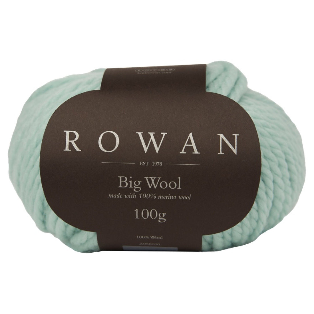 Big Wool von Rowan | 100g – floss [97]