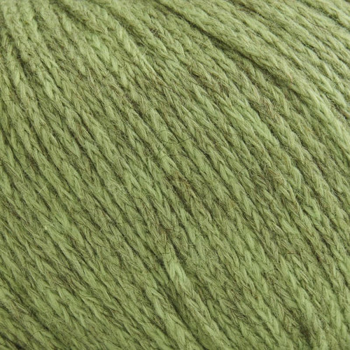 Moss