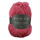 Raspberry [356]