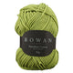 Gooseberry [219]