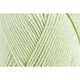 Celery [309]