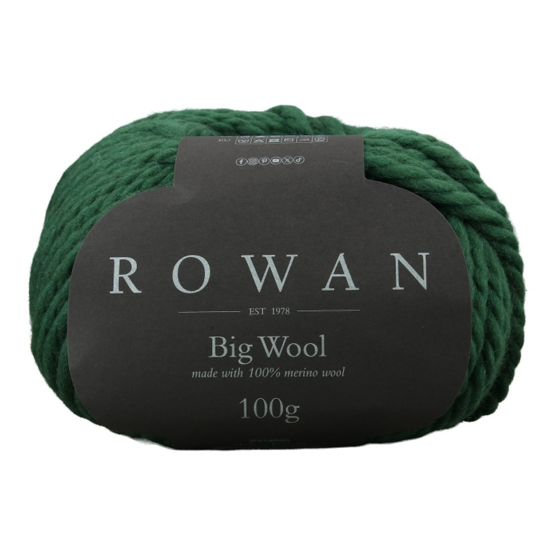 Big Wool von Rowan | 100g – forest [43]
