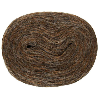 Plötulopi Búnt von Lopi | 100g – dark woods [2020]