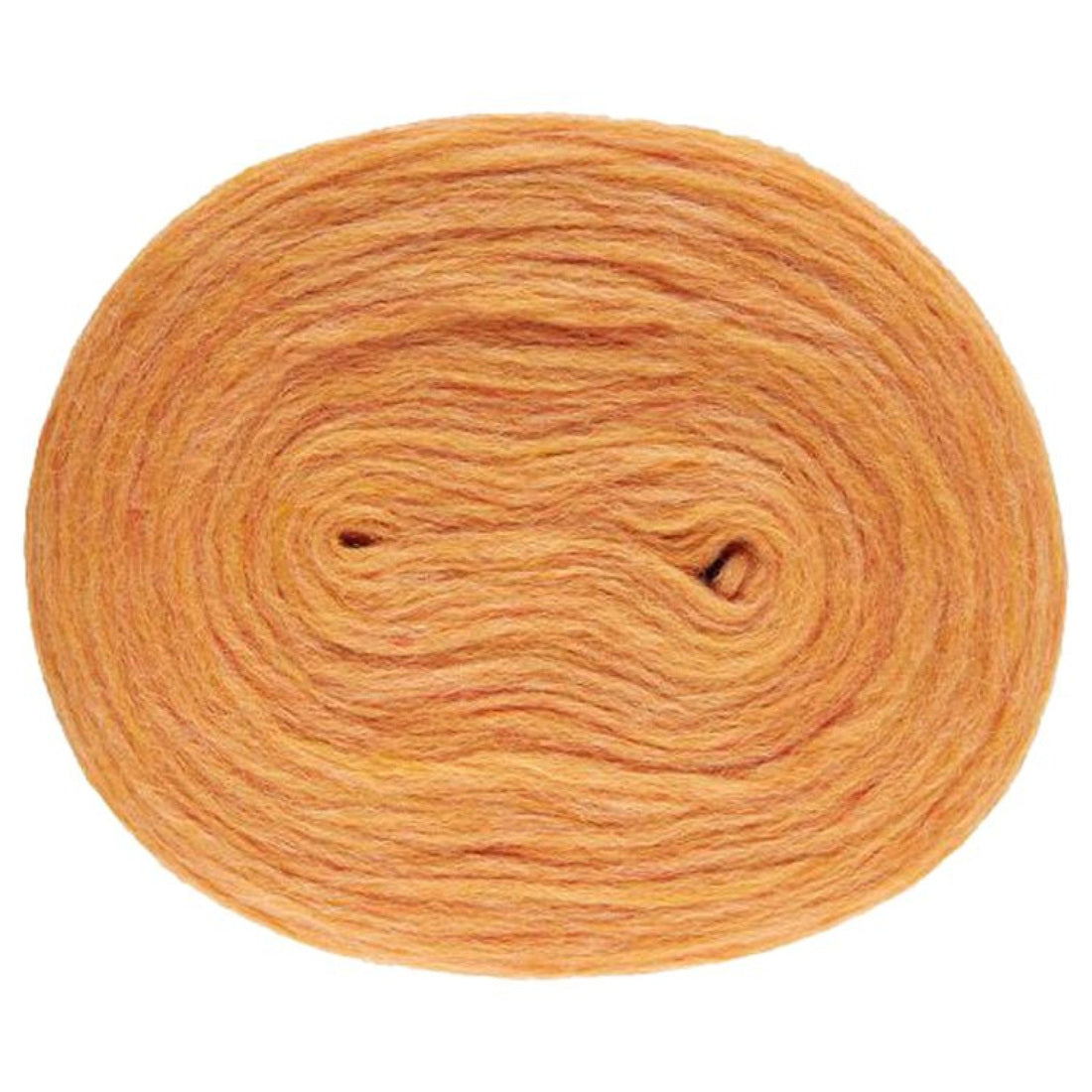 Plötulopi Búnt von Lopi | 100g – golden blush [2028]