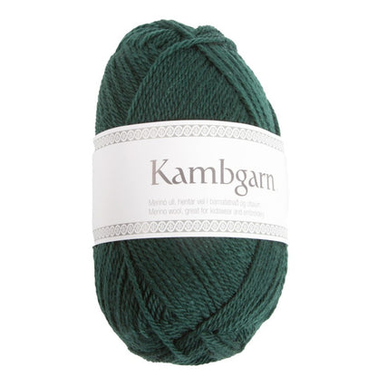 Kambgarn von Lopi | 50g – forest green [969]