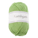 green flash [1209]