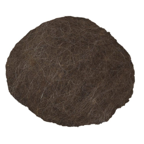 acorn