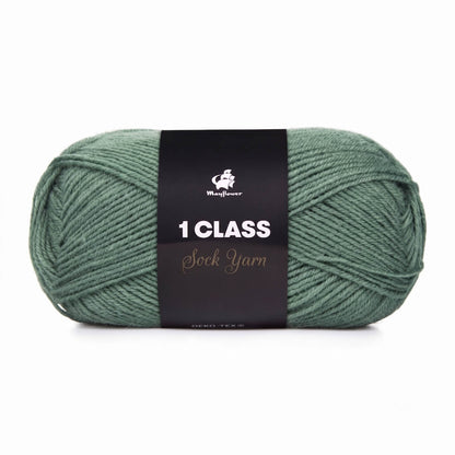 Mayflower 1 Class | 50g