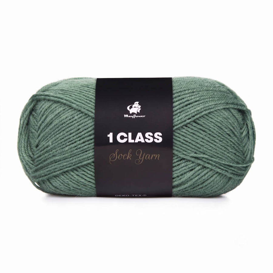 Mayflower 1 Class | 50g