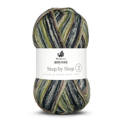 003 grau/schwarz/braun/grün