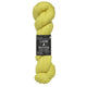 amalfi lemon [2311]
