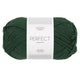 deep forest green [8581]