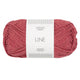 raspberry [4335]