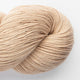 shell [1700]