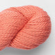 coral [1808]