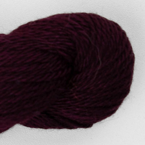 evening violet