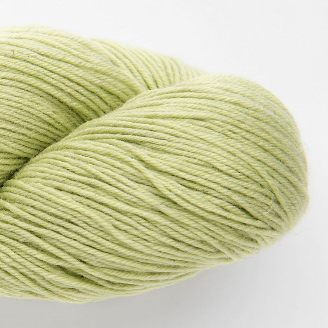 Chaski Merino Cotton Linen Blend von Amano – pale green [1723]