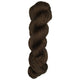 Cocoa Bean [2005]