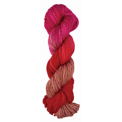 Viva Colour von Symfonie Yarns | 100g – Rhubarb [1022]