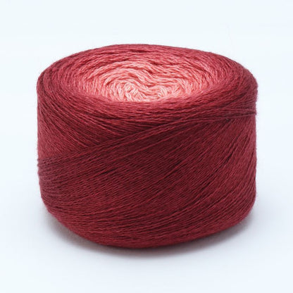 Diva Colour von Symfonie Yarns | 100g – Winewash [6002]