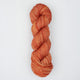 Apricot [1039]