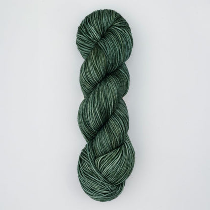 Viva Colour von Symfonie Yarns | 100g – Willow [1041]