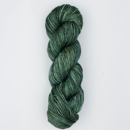 Bella Colour von Symfonie Yarns | 100g – Willow [4034]