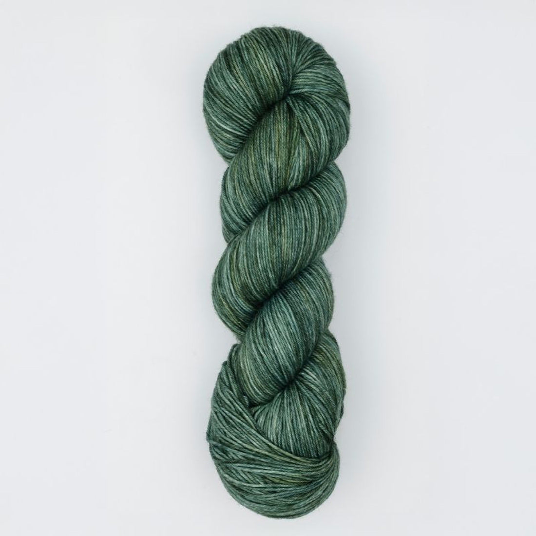 Terra Colour von Symfonie Yarns | 100g – Willow [2091]