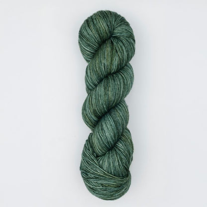 Terra Colour von Symfonie Yarns | 100g – Willow [2091]
