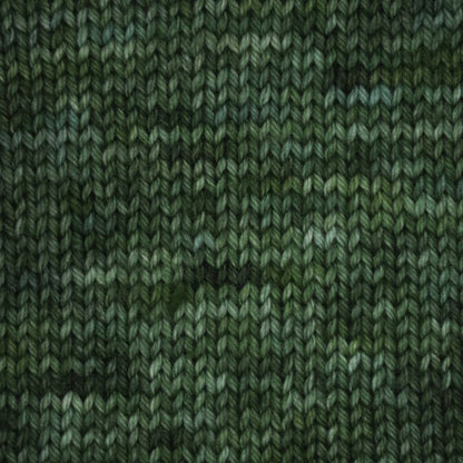 Terra Colour von Symfonie Yarns | 100g – Fernfall [2099]